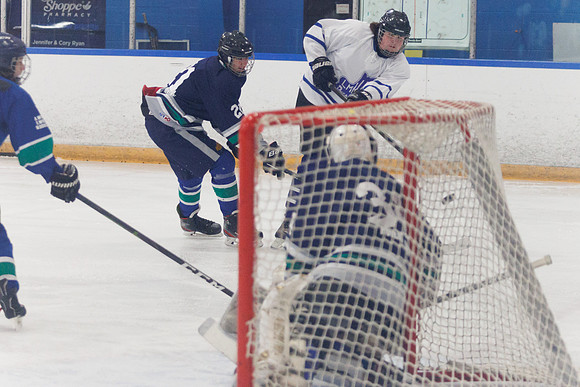 Seniors hockey-7238