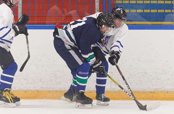 Seniors hockey-7456