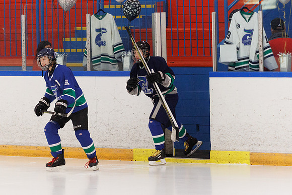 Seniors hockey-7125