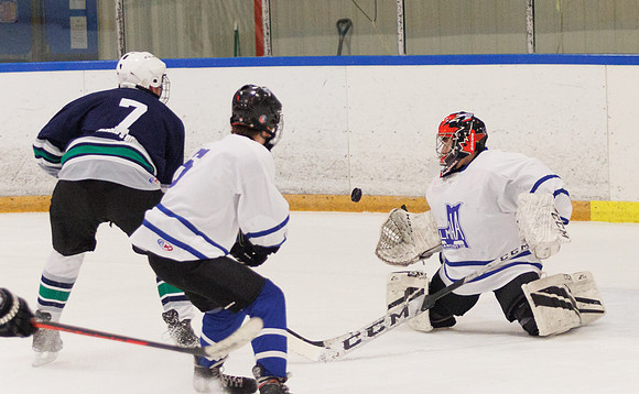 Seniors hockey-7574