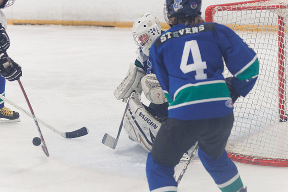 Seniors hockey-7244