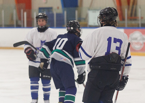 Seniors hockey-7248