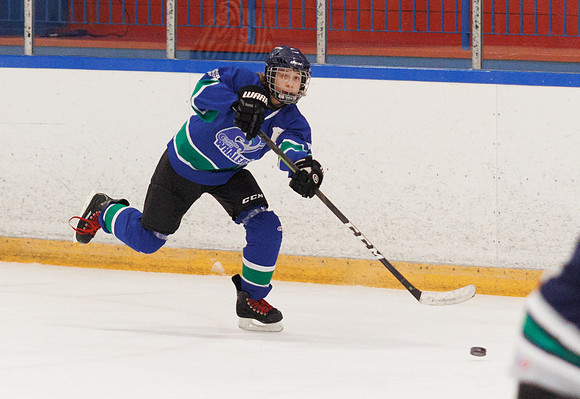 Seniors hockey-7510