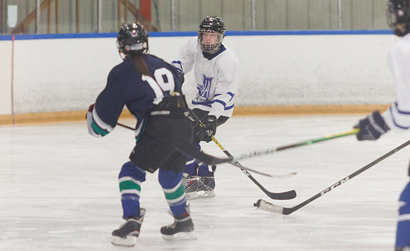 Seniors hockey-7204