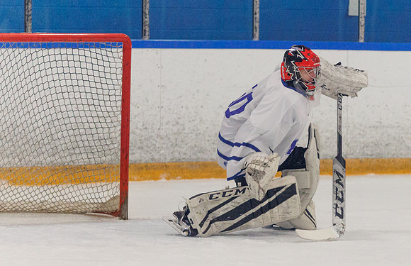 Seniors hockey-7413