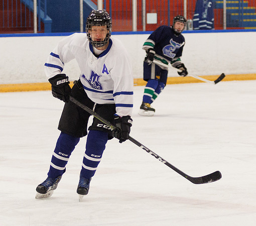 Seniors hockey-7384