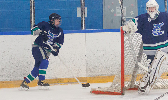 Seniors hockey-7312