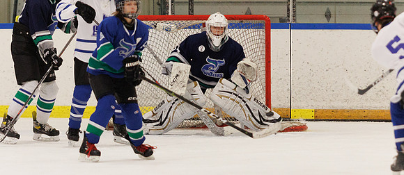 Seniors hockey-7442