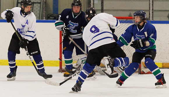 Seniors hockey-7438
