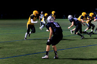 KVHSvFHS-48842Fl-Motion