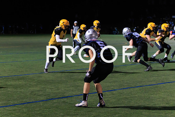 KVHSvFHS-48842Fl-Motion