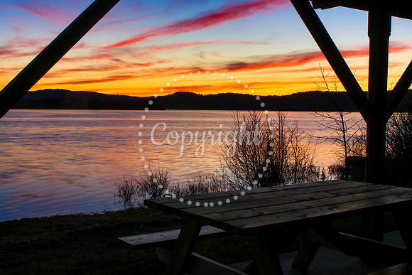 April 25, MeenansCove -9614