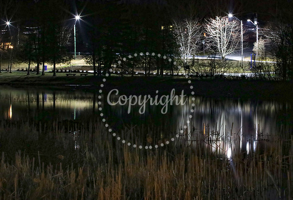 RITCHIE LAKE walk-9734