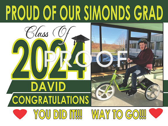 19. David Simonds