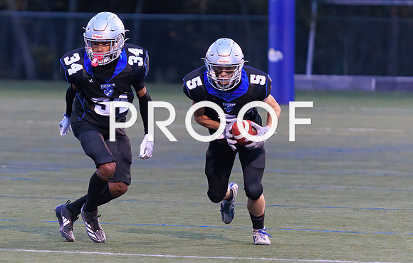 KVHSvFHS-45592Fl-Motion