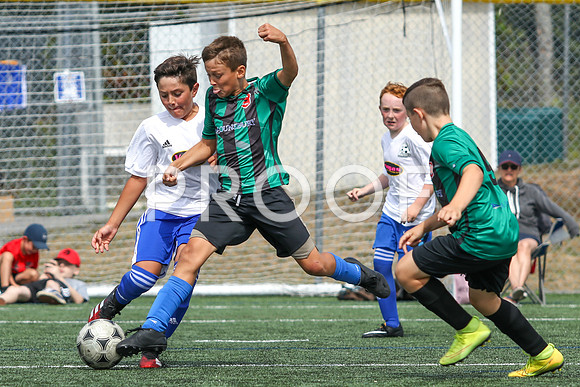 U12 Boys Fundy -9716