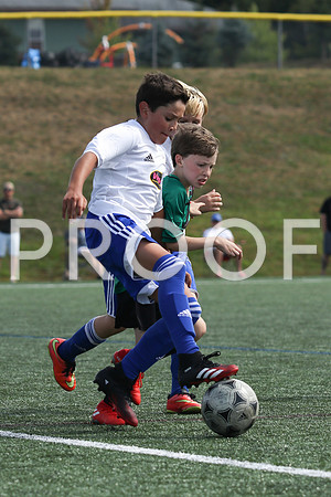 U12 Boys Fundy -9839
