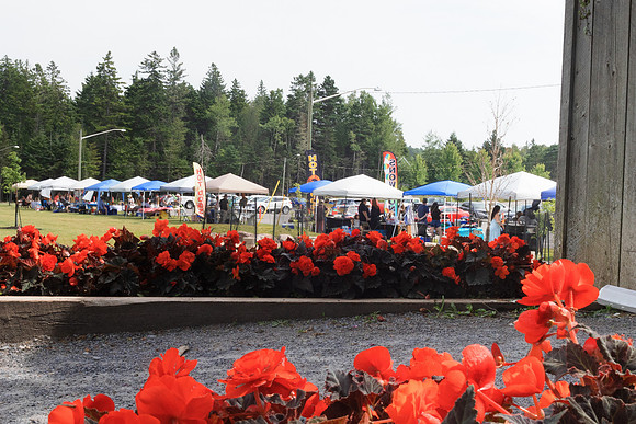 Quispamsis -2335