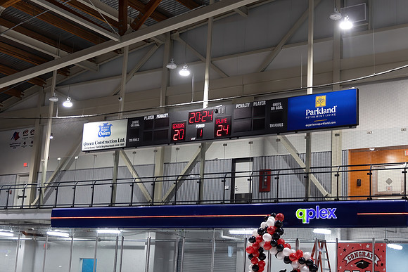 Hawks-23642