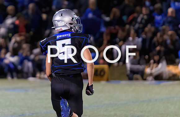 KV FHS-49492Fl-Motion