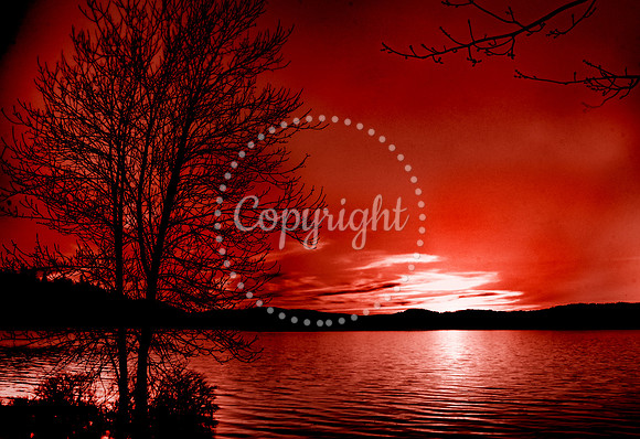 Meenan's Cove