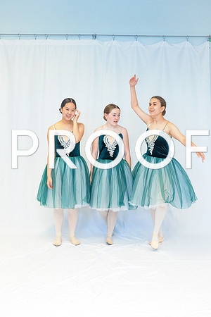 Ballet Ind-5645