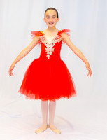 Ballet Ind-5320