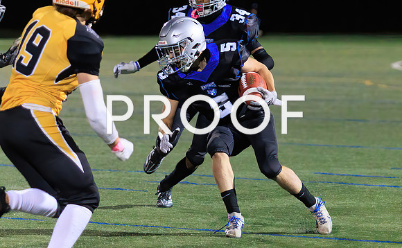 KV FHS-48192Fl-Motion