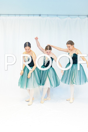 Ballet Ind-5647