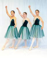 Ballet Ind-5650