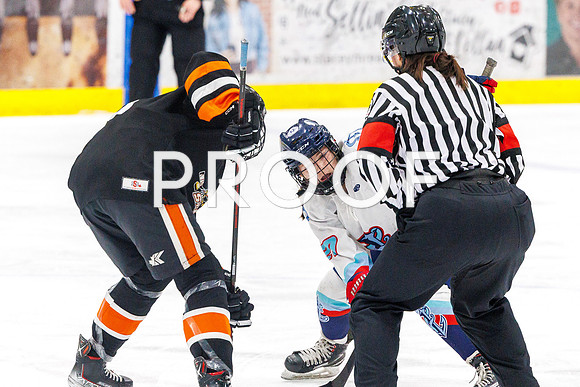 P06A2661