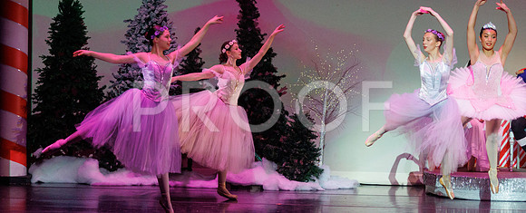 Nutcracker24-1210