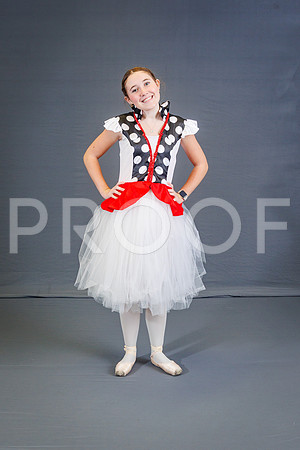 RBallet24-8862