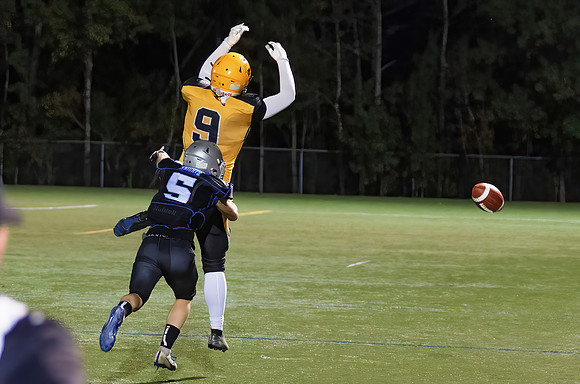 KV FHS-48122Fl-Motion