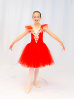 Ballet Ind-5321