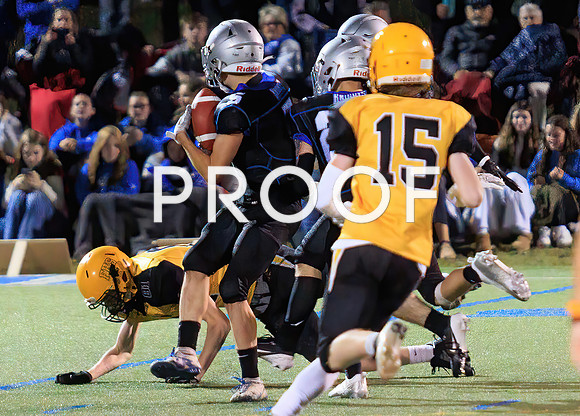 KV FHS-49792Fl-Motion