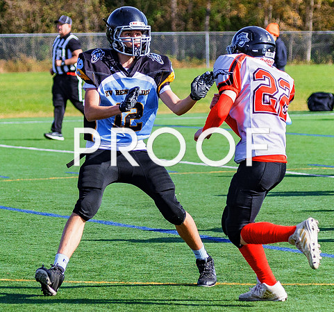 FBall-8386