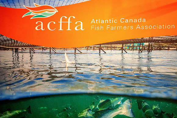 ACFFA-5749