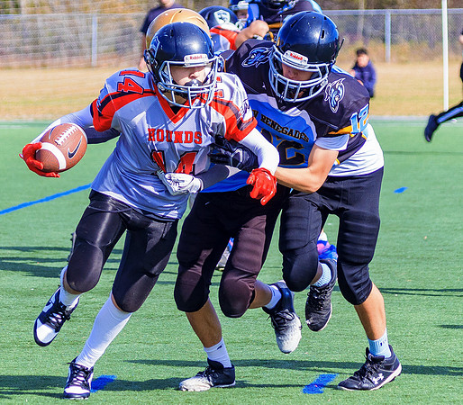 FBall-8281