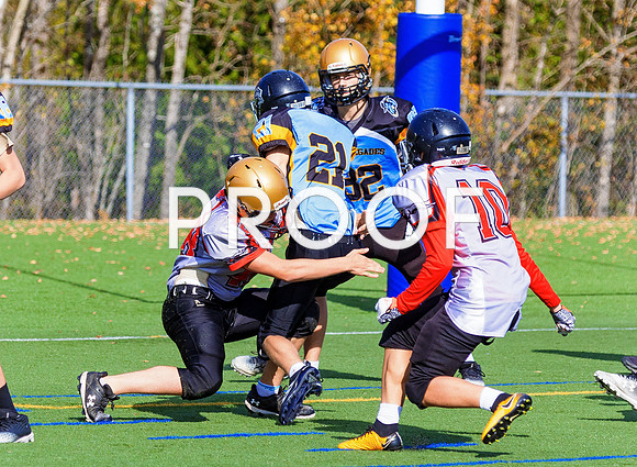FBall-8259