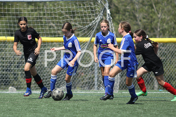 U12 Girls Fundy -9261