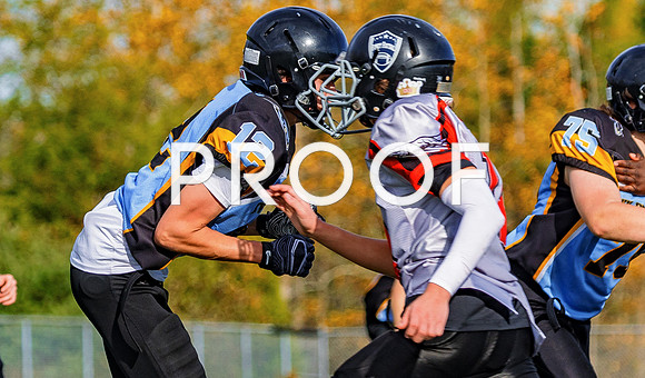 FBall-8585