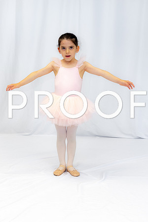 Ballet Ind-5088