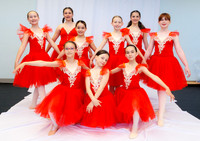 Ballet Ind-5262