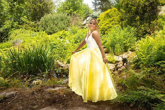 Prom-9601