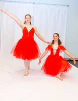 Ballet Ind-5279