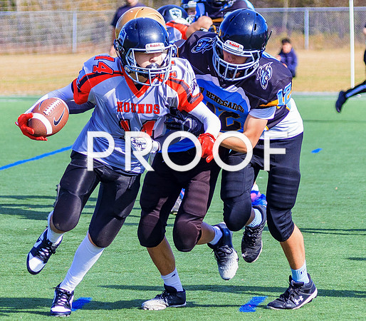 FBall-8281