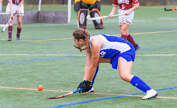 FHockKV-39212