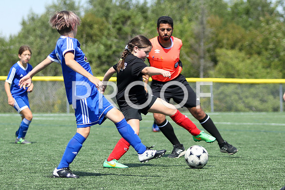 U12 Girls Fundy -9226