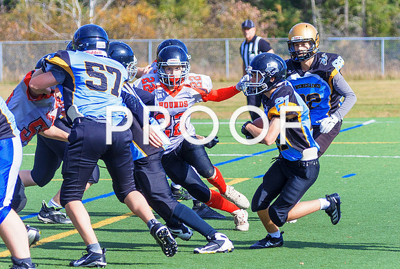 FBall-8261